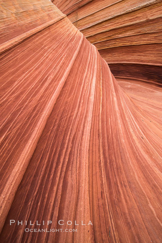 The Wave in the North Coyote Buttes, an area of fantastic eroded sandstone featuring beautiful swirls, wild colors, countless striations, and bizarre shapes set amidst the dramatic surrounding North Coyote Buttes of Arizona and Utah. The sandstone formations of the North Coyote Buttes, including the Wave, date from the Jurassic period. Managed by the Bureau of Land Management, the Wave is located in the Paria Canyon-Vermilion Cliffs Wilderness and is accessible on foot by permit only. USA, natural history stock photograph, photo id 28607