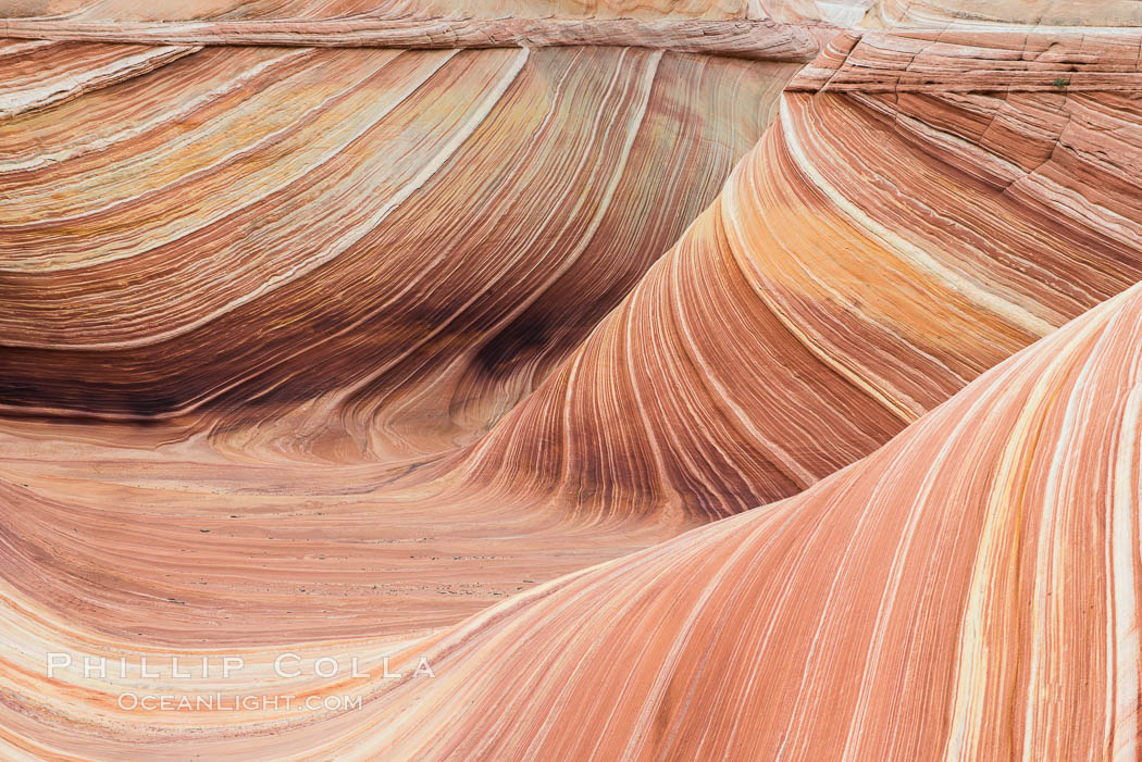 The Wave in the North Coyote Buttes, an area of fantastic eroded sandstone featuring beautiful swirls, wild colors, countless striations, and bizarre shapes set amidst the dramatic surrounding North Coyote Buttes of Arizona and Utah. The sandstone formations of the North Coyote Buttes, including the Wave, date from the Jurassic period. Managed by the Bureau of Land Management, the Wave is located in the Paria Canyon-Vermilion Cliffs Wilderness and is accessible on foot by permit only. USA, natural history stock photograph, photo id 28609