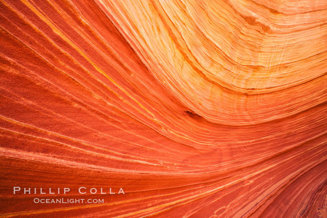 The Wave, an area of fantastic eroded sandstone featuring beautiful swirls, wild colors, countless striations, and bizarre shapes set amidst the dramatic surrounding North Coyote Buttes of Arizona and Utah.  The sandstone formations of the North Coyote Buttes, including the Wave, date from the Jurassic period. Managed by the Bureau of Land Management, the Wave is located in the Paria Canyon-Vermilion Cliffs Wilderness and is accessible on foot by permit only. USA, natural history stock photograph, photo id 20658