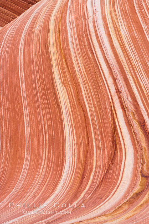 The Wave, an area of fantastic eroded sandstone featuring beautiful swirls, wild colors, countless striations, and bizarre shapes set amidst the dramatic surrounding North Coyote Buttes of Arizona and Utah.  The sandstone formations of the North Coyote Buttes, including the Wave, date from the Jurassic period. Managed by the Bureau of Land Management, the Wave is located in the Paria Canyon-Vermilion Cliffs Wilderness and is accessible on foot by permit only. USA, natural history stock photograph, photo id 20666