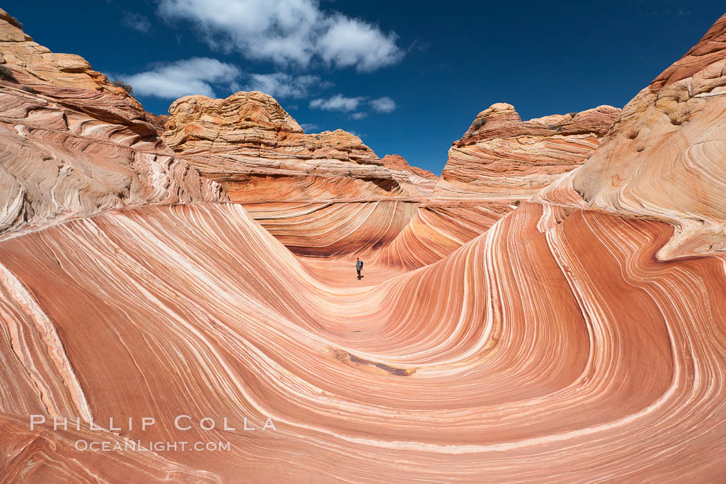 The Wave, an area of fantastic eroded sandstone featuring beautiful swirls, wild colors, countless striations, and bizarre shapes set amidst the dramatic surrounding North Coyote Buttes of Arizona and Utah.  The sandstone formations of the North Coyote Buttes, including the Wave, date from the Jurassic period. Managed by the Bureau of Land Management, the Wave is located in the Paria Canyon-Vermilion Cliffs Wilderness and is accessible on foot by permit only. USA, natural history stock photograph, photo id 20668