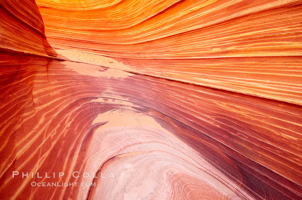 The Wave, an area of fantastic eroded sandstone featuring beautiful swirls, wild colors, countless striations, and bizarre shapes set amidst the dramatic surrounding North Coyote Buttes of Arizona and Utah.  The sandstone formations of the North Coyote Buttes, including the Wave, date from the Jurassic period. Managed by the Bureau of Land Management, the Wave is located in the Paria Canyon-Vermilion Cliffs Wilderness and is accessible on foot by permit only. USA, natural history stock photograph, photo id 20659