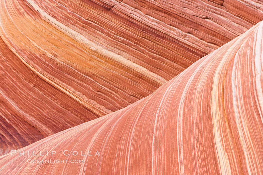 The Wave, an area of fantastic eroded sandstone featuring beautiful swirls, wild colors, countless striations, and bizarre shapes set amidst the dramatic surrounding North Coyote Buttes of Arizona and Utah.  The sandstone formations of the North Coyote Buttes, including the Wave, date from the Jurassic period. Managed by the Bureau of Land Management, the Wave is located in the Paria Canyon-Vermilion Cliffs Wilderness and is accessible on foot by permit only. USA, natural history stock photograph, photo id 20661