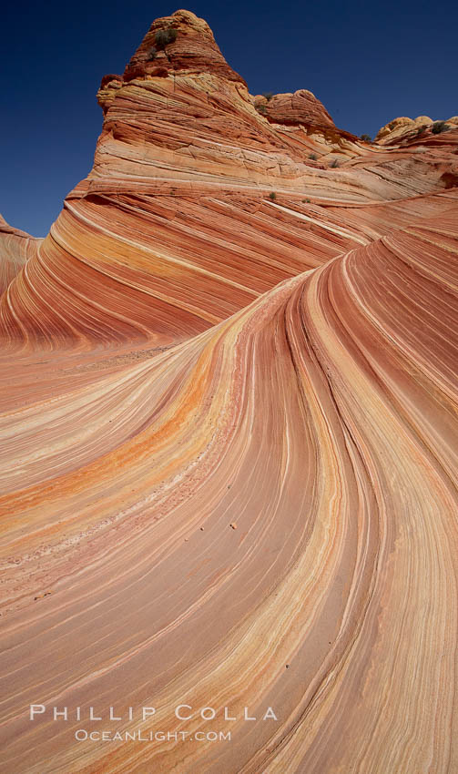 The Wave, an area of fantastic eroded sandstone featuring beautiful swirls, wild colors, countless striations, and bizarre shapes set amidst the dramatic surrounding North Coyote Buttes of Arizona and Utah.  The sandstone formations of the North Coyote Buttes, including the Wave, date from the Jurassic period. Managed by the Bureau of Land Management, the Wave is located in the Paria Canyon-Vermilion Cliffs Wilderness and is accessible on foot by permit only. USA, natural history stock photograph, photo id 20673