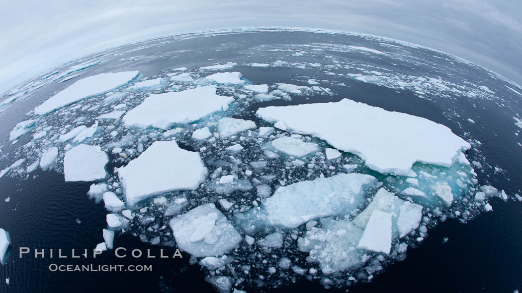 Pack ice and brash ice fills the Weddell Sea, near the Antarctic Peninsula.  This pack ice is a combination of broken pieces of icebergs, sea ice that has formed on the ocean., natural history stock photograph, photo id 24926