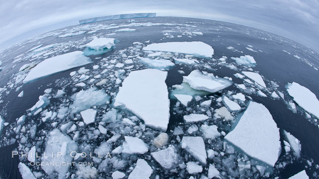 Pack ice and brash ice fills the Weddell Sea, near the Antarctic Peninsula.  This pack ice is a combination of broken pieces of icebergs, sea ice that has formed on the ocean., natural history stock photograph, photo id 24928