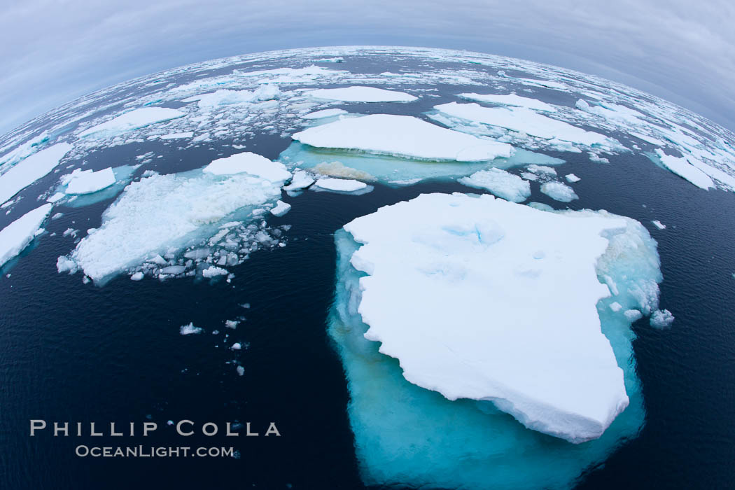 Pack ice and brash ice fills the Weddell Sea, near the Antarctic Peninsula.  This pack ice is a combination of broken pieces of icebergs, sea ice that has formed on the ocean., natural history stock photograph, photo id 24932