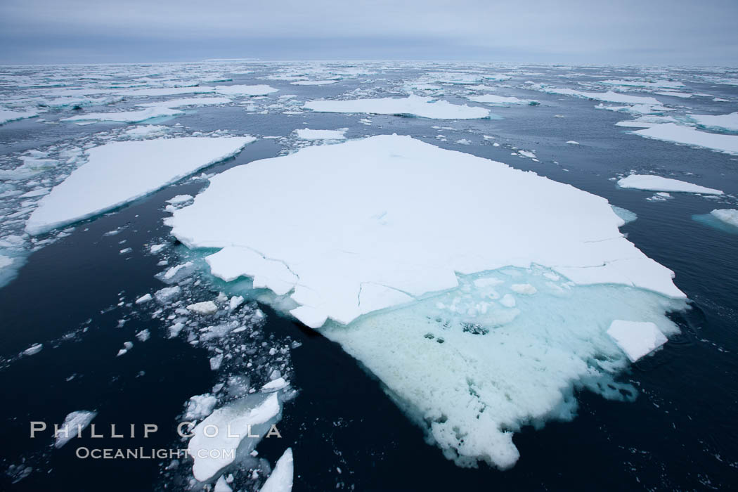 Pack ice and brash ice fills the Weddell Sea, near the Antarctic Peninsula.  This pack ice is a combination of broken pieces of icebergs, sea ice that has formed on the ocean. Southern Ocean, natural history stock photograph, photo id 24923