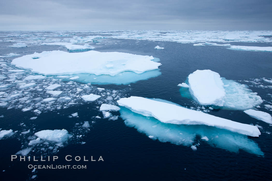 Pack ice and brash ice fills the Weddell Sea, near the Antarctic Peninsula.  This pack ice is a combination of broken pieces of icebergs, sea ice that has formed on the ocean., natural history stock photograph, photo id 24927