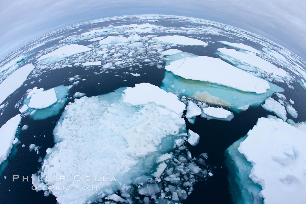 Pack ice and brash ice fills the Weddell Sea, near the Antarctic Peninsula.  This pack ice is a combination of broken pieces of icebergs, sea ice that has formed on the ocean. Southern Ocean, natural history stock photograph, photo id 24931