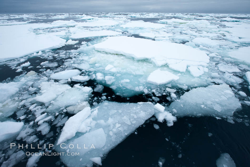 Pack ice and brash ice fills the Weddell Sea, near the Antarctic Peninsula.  This pack ice is a combination of broken pieces of icebergs, sea ice that has formed on the ocean., natural history stock photograph, photo id 24921
