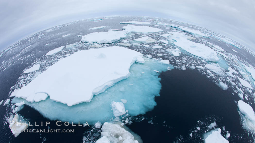 Pack ice and brash ice fills the Weddell Sea, near the Antarctic Peninsula.  This pack ice is a combination of broken pieces of icebergs, sea ice that has formed on the ocean. Southern Ocean, natural history stock photograph, photo id 24925