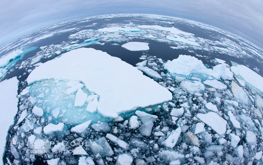 Pack ice and brash ice fills the Weddell Sea, near the Antarctic Peninsula.  This pack ice is a combination of broken pieces of icebergs, sea ice that has formed on the ocean., natural history stock photograph, photo id 24929