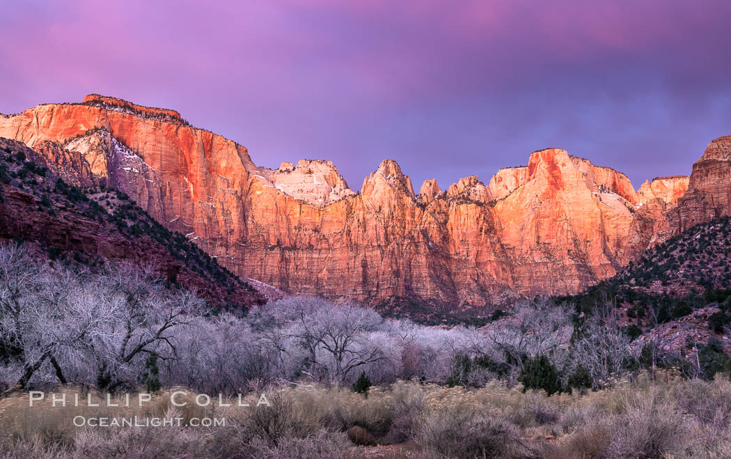 West Temple, The Sundial and the Altar of Sacrifice illuminated by soft alpenglow, about 20 minutes before sunrise. Zion National Park, Utah, USA, natural history stock photograph, photo id 37788