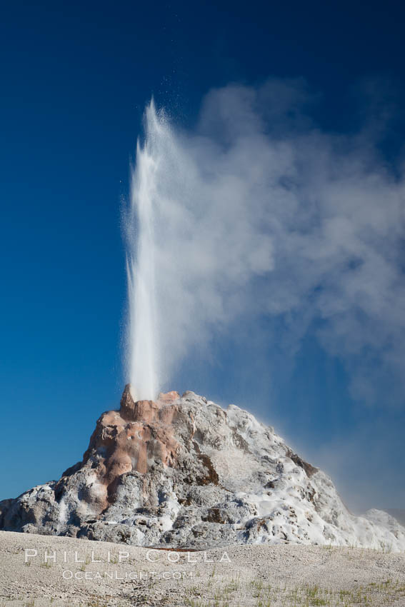White Dome Geyser, rises to a height of 30 feet or more, and typically erupts with an interval of 15 to 30 minutes. It is located along Firehole Lake Drive. Lower Geyser Basin, Yellowstone National Park, Wyoming, USA, natural history stock photograph, photo id 26938