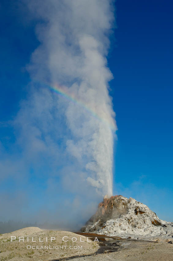 White Dome Geyser, with a faint rainbow visible in its mist, rises to a height of 30 feet or more, and typically erupts with an interval of 15 to 30 minutes. It is located along Firehole Lake Drive, Lower Geyser Basin, Yellowstone National Park, Wyoming