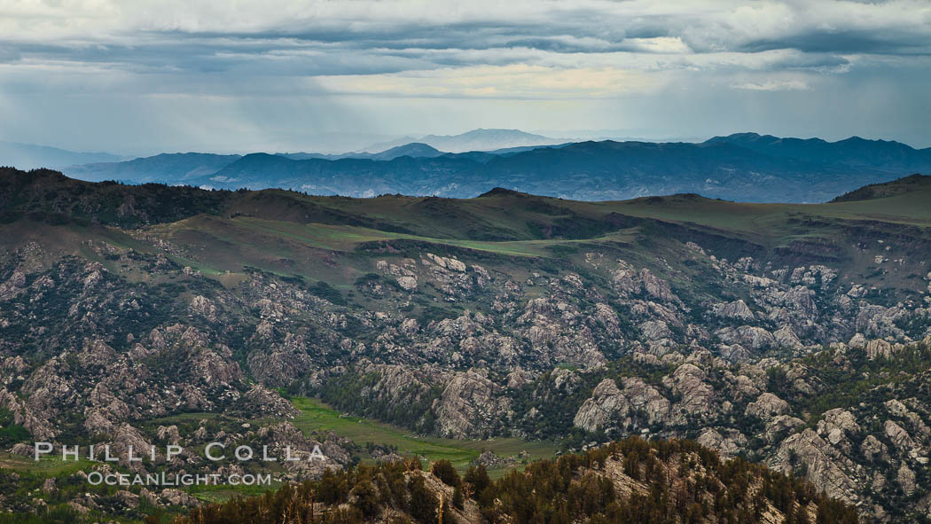 White Mountains and storm clouds, near Patriarch Grove. White Mountains, Inyo National Forest, California, USA, natural history stock photograph, photo id 26989