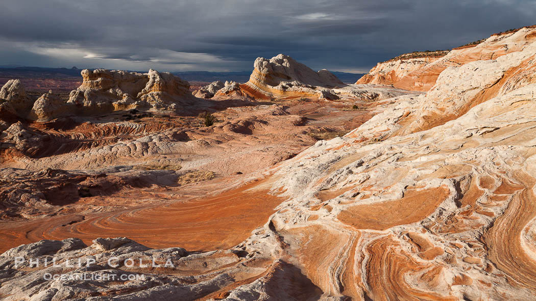 White Pocket, sandstone forms and colors are amazing., natural history stock photograph, photo id 26622
