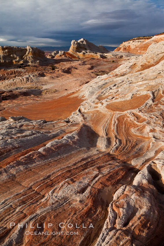 White Pocket, sandstone forms and colors are amazing. Vermillion Cliffs National Monument, Arizona, USA, natural history stock photograph, photo id 26658