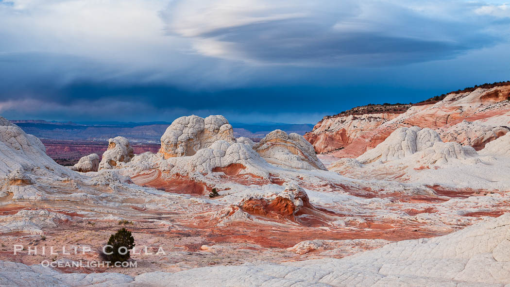 White Pocket, a beautiful and remote celebration of sandstone color and form. White Pocket, Vermillion Cliffs National Monument, Arizona, USA, natural history stock photograph, photo id 26620