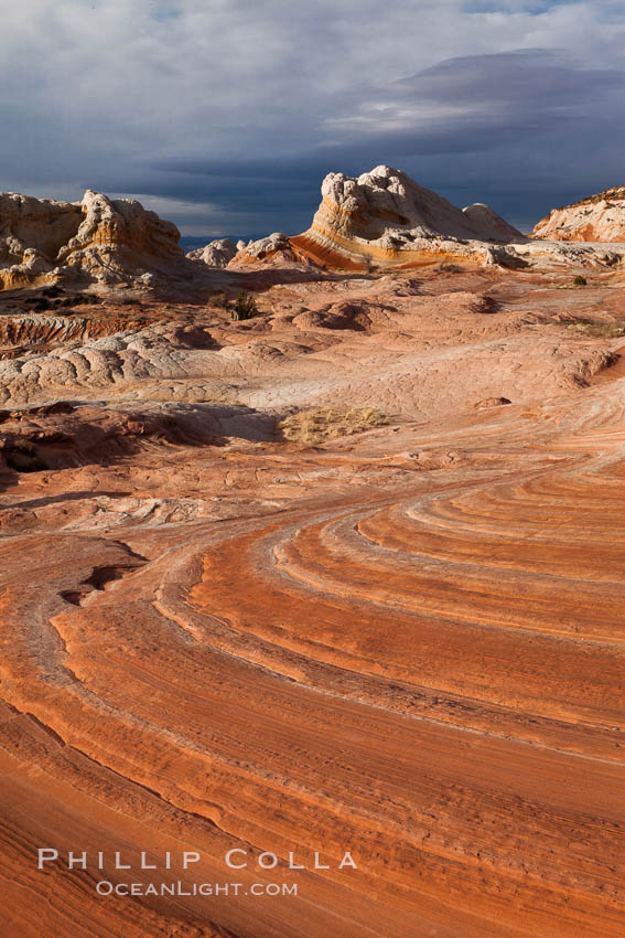 White Pocket, sandstone forms and colors are amazing. Vermillion Cliffs National Monument, Arizona, USA, natural history stock photograph, photo id 26605