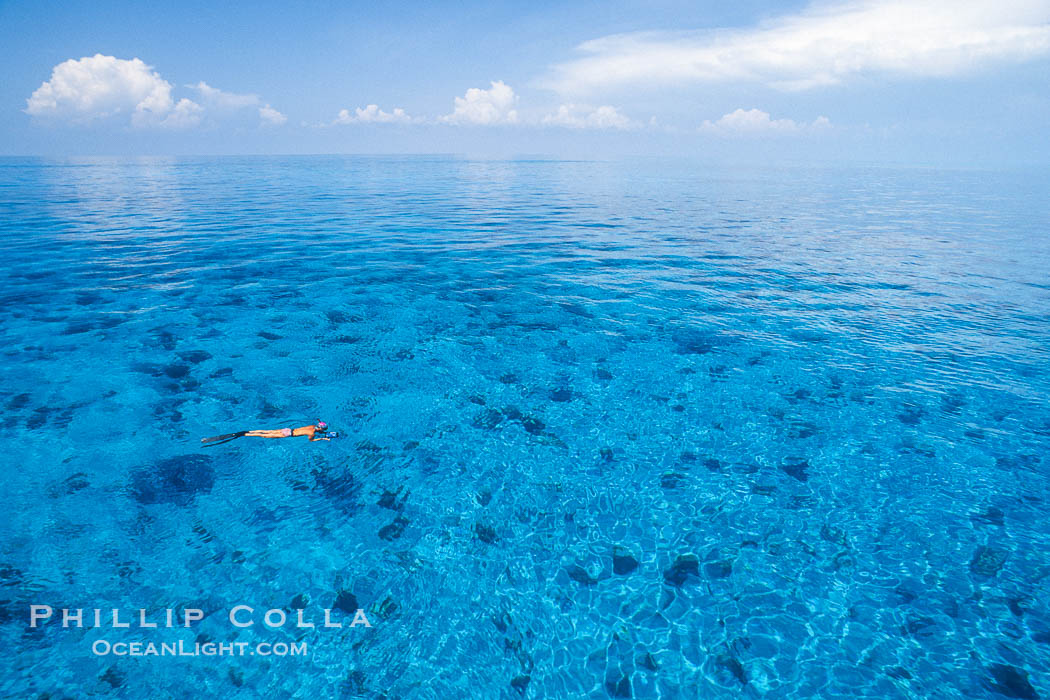 White Sand Ridge, Bahamas., natural history stock photograph, photo id 36262