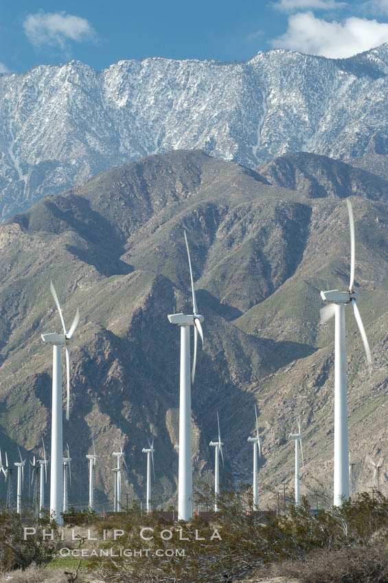 Wind turbines provide electricity to Palm Springs and the Coachella Valley. San Gorgonio pass, San Bernardino mountains. San Gorgonio Pass, California, USA, natural history stock photograph, photo id 06868