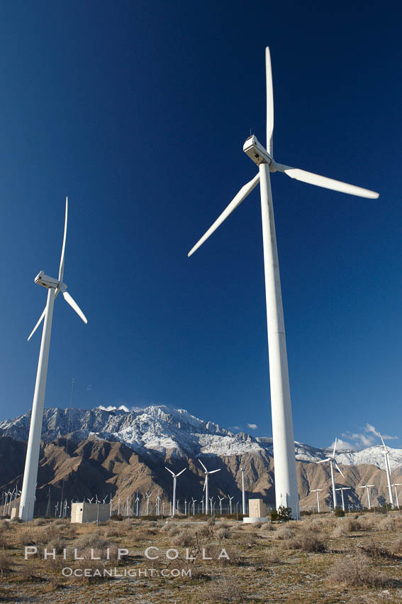 Wind turbines, rise above the flat floor of the San Gorgonio Pass near Palm Springs, with snow covered Mount San Jacinto in the background, provide electricity to Palm Springs and the Coachella Valley. California, USA, natural history stock photograph, photo id 22207