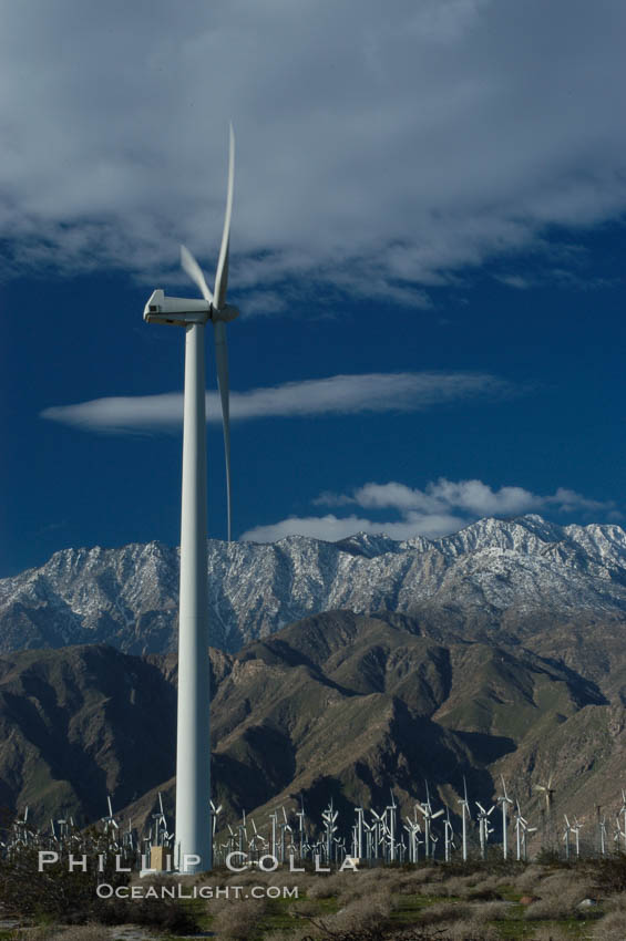 Wind turbines provide electricity to Palm Springs and the Coachella Valley. San Gorgonio pass, San Bernardino mountains. San Gorgonio Pass, California, USA, natural history stock photograph, photo id 06898