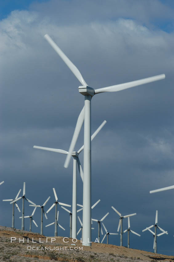 Wind turbines provide electricity to Palm Springs and the Coachella Valley. San Gorgonio pass, San Bernardino mountains. San Gorgonio Pass, California, USA, natural history stock photograph, photo id 06878