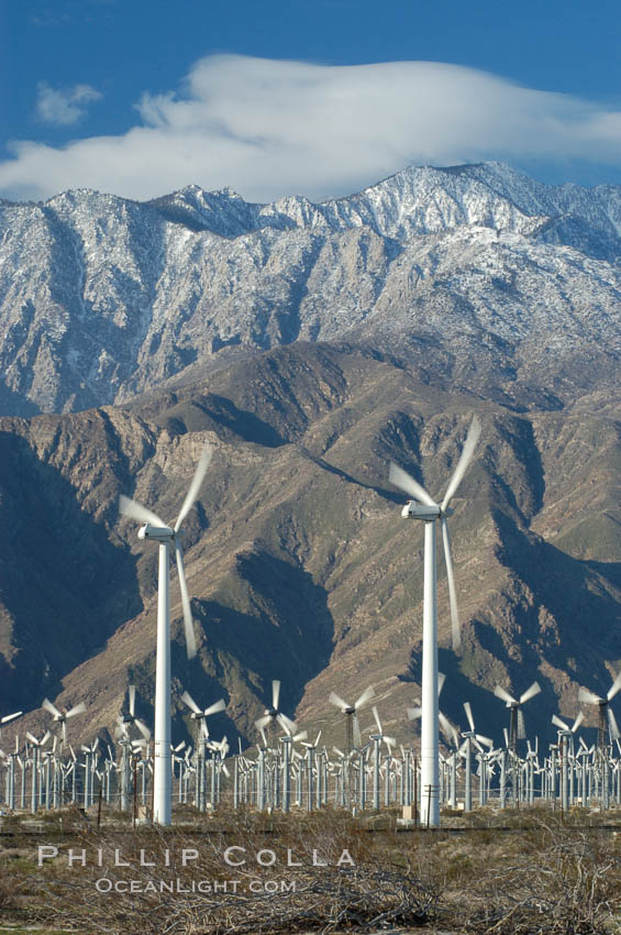 Wind turbines provide electricity to Palm Springs and the Coachella Valley. San Gorgonio pass, San Bernardino mountains. San Gorgonio Pass, California, USA, natural history stock photograph, photo id 06891