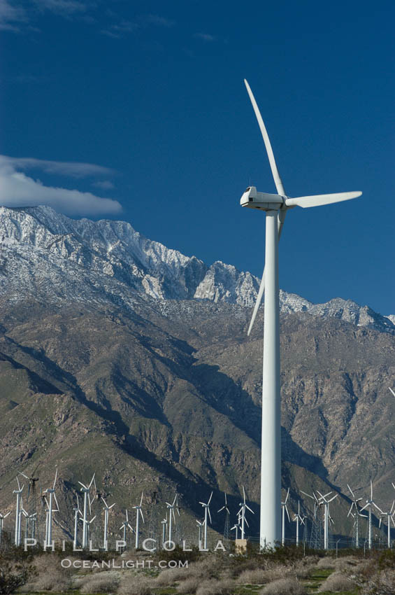 Wind turbines provide electricity to Palm Springs and the Coachella Valley. San Gorgonio pass, San Bernardino mountains. San Gorgonio Pass, California, USA, natural history stock photograph, photo id 06900