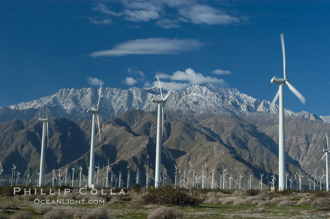 Wind turbines provide electricity to Palm Springs and the Coachella Valley. San Gorgonio pass, San Bernardino mountains. San Gorgonio Pass, California, USA, natural history stock photograph, photo id 06899