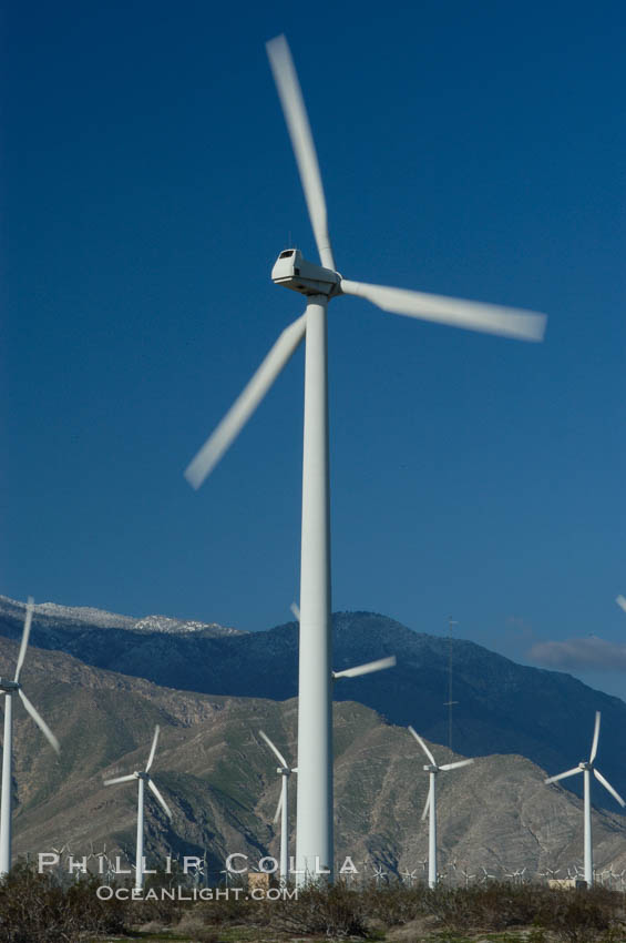 Wind turbines provide electricity to Palm Springs and the Coachella Valley. San Gorgonio pass, San Bernardino mountains. San Gorgonio Pass, California, USA, natural history stock photograph, photo id 06903