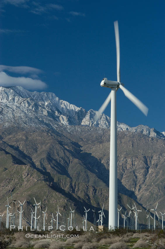 Wind turbines provide electricity to Palm Springs and the Coachella Valley. San Gorgonio pass, San Bernardino mountains. San Gorgonio Pass, California, USA, natural history stock photograph, photo id 06901