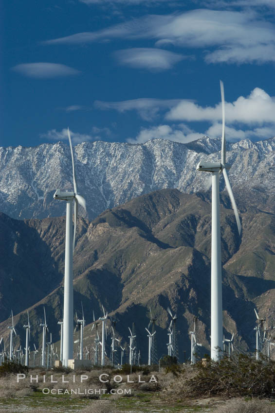 Wind turbines provide electricity to Palm Springs and the Coachella Valley. San Gorgonio pass, San Bernardino mountains. San Gorgonio Pass, California, USA, natural history stock photograph, photo id 06905