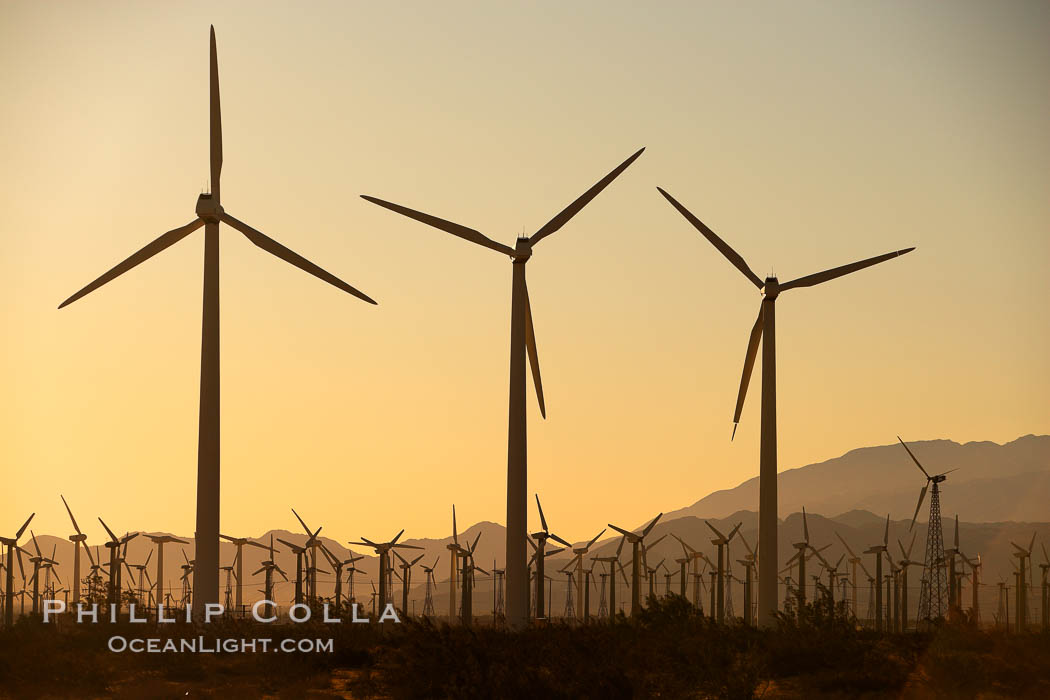 Wind turbines at sunrise, in the San Gorgonio Pass, near Interstate 10 provide electricity to Palm Springs and the Coachella Valley. California, USA, natural history stock photograph, photo id 22242