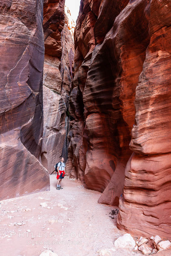 A hiker walking through the Wire Pass narrows.  This exceedingly narrow slot canyon, in some places only two feet wide, is formed by water erosion which cuts slots deep into the surrounding sandstone plateau. Paria Canyon-Vermilion Cliffs Wilderness, Arizona, USA, natural history stock photograph, photo id 20728