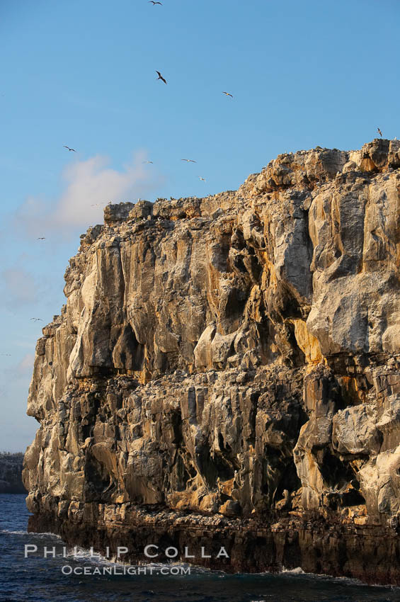 Seacliffs, home of many seabirds. Wolf Island, Galapagos Islands, Ecuador, natural history stock photograph, photo id 16635