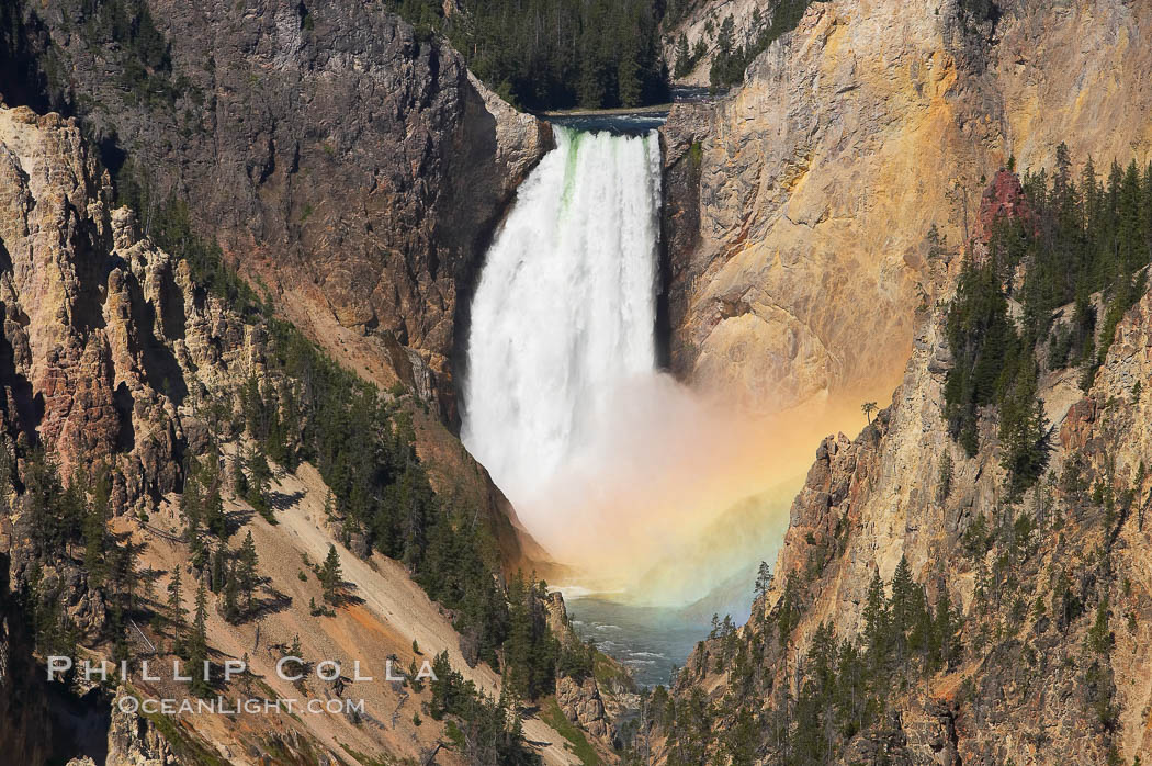 A rainbow appears in the mist of the Lower Falls of the Yellowstone River.  At 308 feet, the Lower Falls of the Yellowstone River is the tallest fall in the park.  This view is from the famous and popular Artist Point on the south side of the Grand Canyon of the Yellowstone.  When conditions are perfect in midsummer, a morning rainbow briefly appears in the falls. Yellowstone National Park, Wyoming, USA, natural history stock photograph, photo id 13334