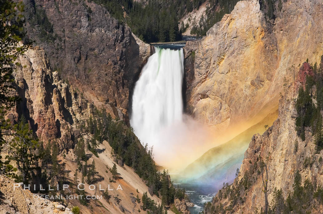 A rainbow appears in the mist of the Lower Falls of the Yellowstone River. A long exposure blurs the fast-flowing water. At 308 feet, the Lower Falls of the Yellowstone River is the tallest fall in the park. This view is from the famous and popular Artist Point on the south side of the Grand Canyon of the Yellowstone. When conditions are perfect in midsummer, a morning rainbow briefly appears in the falls, Yellowstone National Park, Wyoming