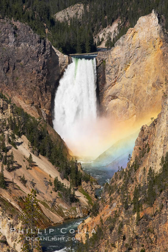 A rainbow appears in the mist of the Lower Falls of the Yellowstone River.  At 308 feet, the Lower Falls of the Yellowstone River is the tallest fall in the park.  This view is from the famous and popular Artist Point on the south side of the Grand Canyon of the Yellowstone.  When conditions are perfect in midsummer, a morning rainbow briefly appears in the falls. Yellowstone National Park, Wyoming, USA, natural history stock photograph, photo id 13333