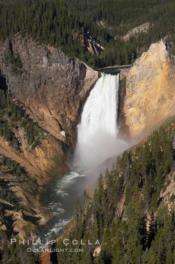 Lower Falls of the Yellowstone River.  At 308 feet, the Lower Falls of the Yellowstone River is the tallest fall in the park.  This view is from Lookout Point on the North side of the Grand Canyon of the Yellowstone.  The canyon is approximately 10,000 years old, 20 miles long, 1000 ft deep, and 2500 ft wide.  Its yellow, orange and red-colored walls are due to oxidation of the various iron compounds in the soil, and to a lesser degree, sulfur content. Yellowstone National Park, Wyoming, USA, natural history stock photograph, photo id 13325