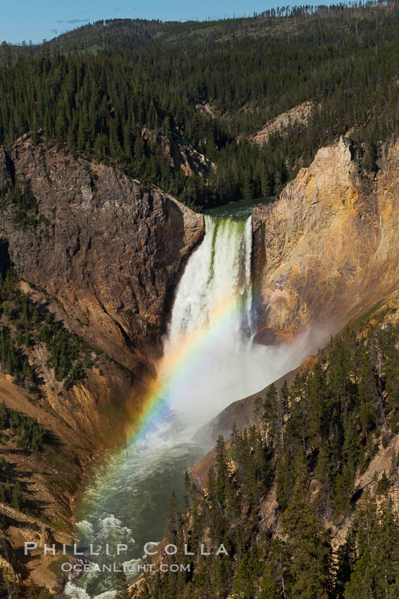 Yellowstone Falls viewed from Lookout Point with a rainbow.  Lower Yellowstone Falls cascades 308' in a thundering plunge into the Grand Canyon of the Yellowstone River. Yellowstone National Park, Wyoming, USA, natural history stock photograph, photo id 26962