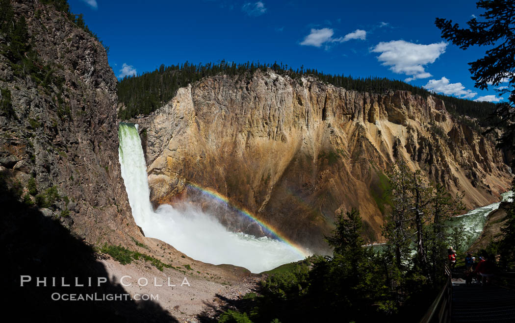 Panorama of Yellowstone Falls from Uncle Tom's Trail.  Lower Yellowstone Falls shows a beautiful rainbow as it cascades 308' in a thundering plunge into the Grand Canyon of the Yellowstone River. Yellowstone National Park, Wyoming, USA, natural history stock photograph, photo id 26957