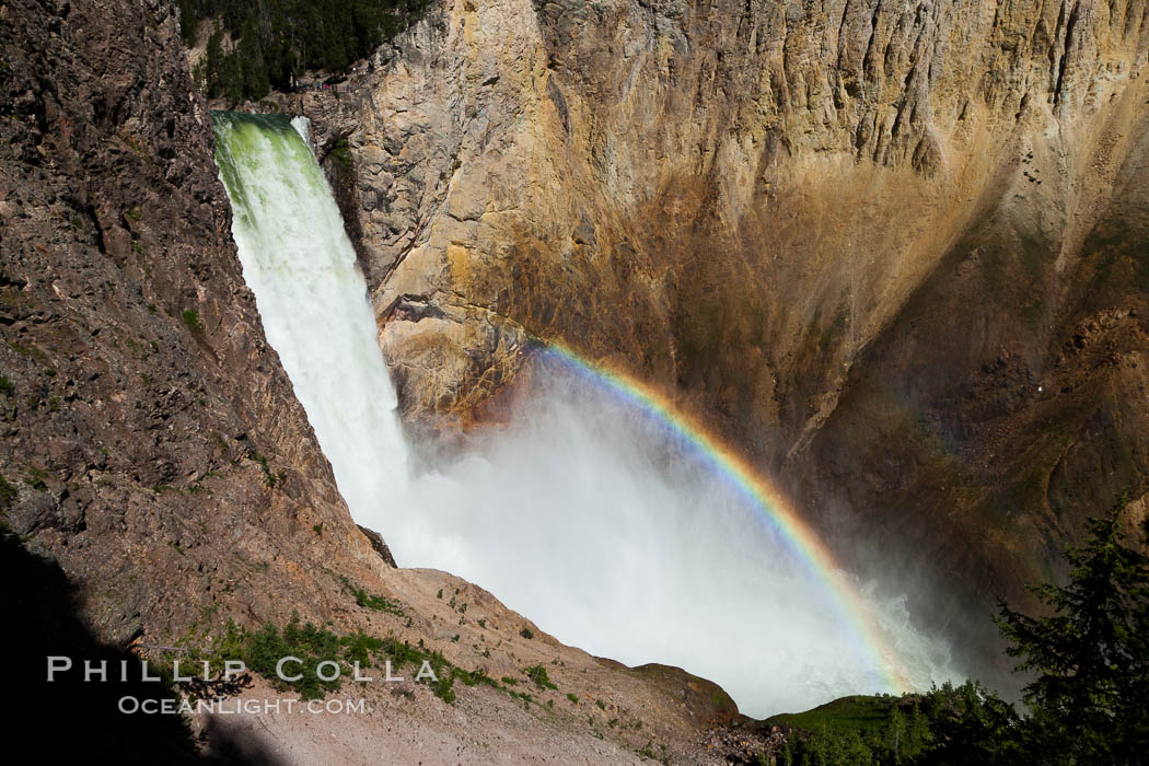 Yellowstone Falls from Uncle Tom's Trail.  Lower Yellowstone Falls shows a beautiful rainbow as it cascades 308' in a thundering plunge into the Grand Canyon of the Yellowstone River. Yellowstone National Park, Wyoming, USA, natural history stock photograph, photo id 26942