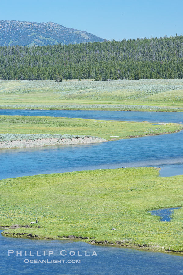 The Yellowstone River flows through the Hayden Valley., natural history stock photograph, photo id 13348
