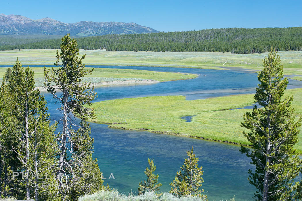 The Yellowstone River flows through the Hayden Valley. Yellowstone National Park, Wyoming, USA, natural history stock photograph, photo id 13347