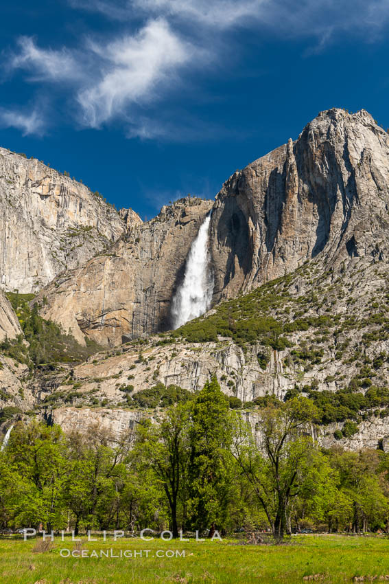 Yosemite Falls and Cooks Meadow in spring, Yosemite National Park. California, USA, natural history stock photograph, photo id 34549