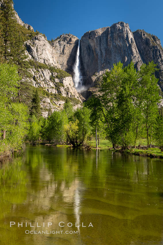 Yosemite Falls rises above the Merced River, viewed from the Swinging Bridge. The 2425' falls is the tallest in North America, Yosemite National Park, California